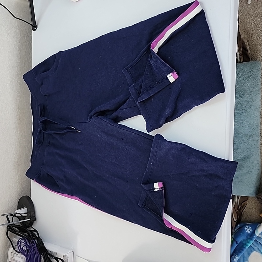 Aerie Blue Joggers Size Large